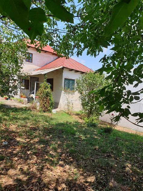 apartamente de vanzare turceni|apartamente de vanzare Turceni